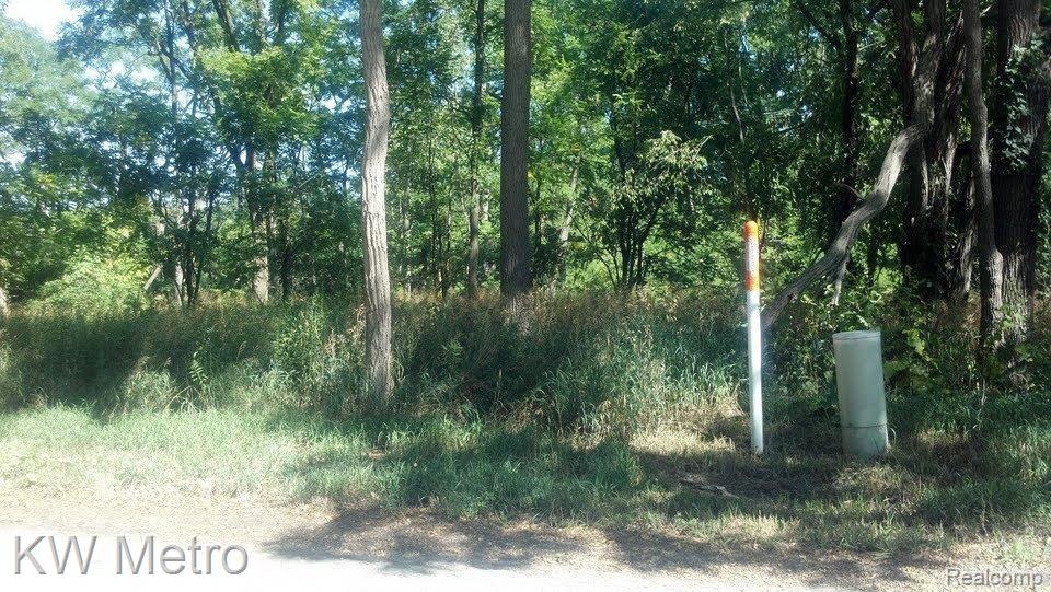 7030 Walsh Road Dexter, MI 48130 - Photo 3 of 5 7030 WALSH