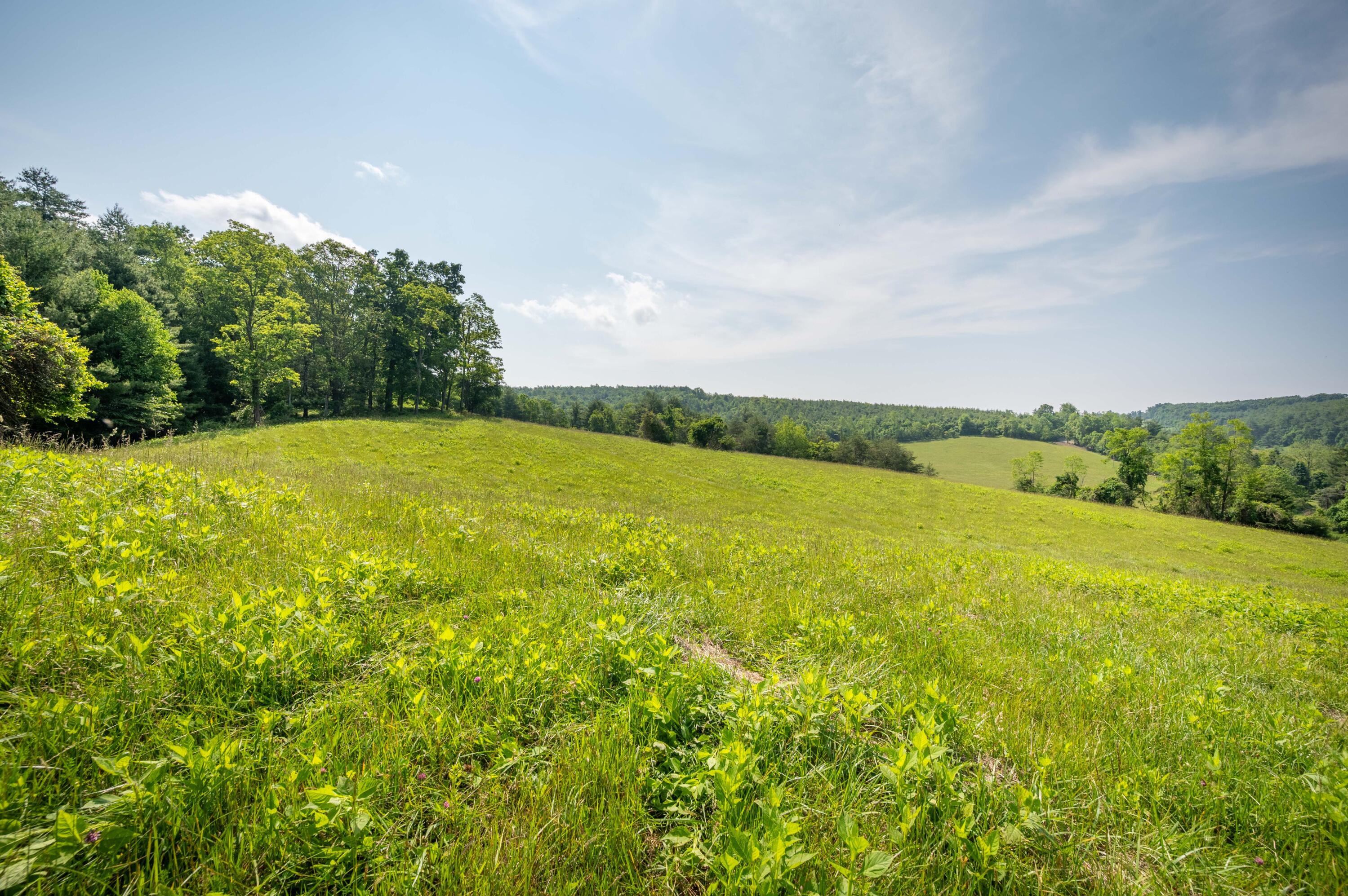 1073 Timberline Road Southeast Copper Hill, VA 24079 - Photo 6 of 56 5