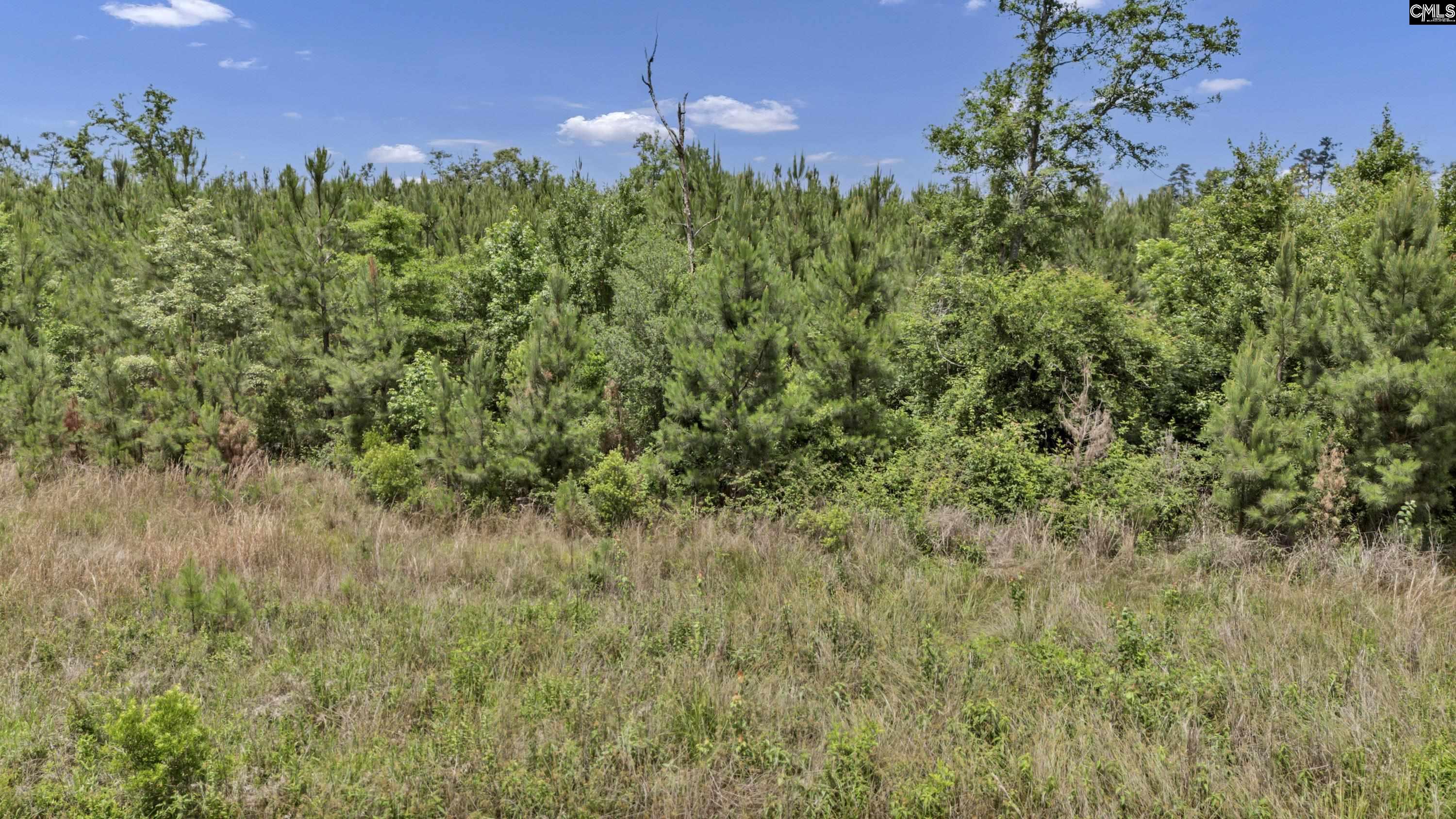 Na Bull Swamp Road North, SC 29112 - Photo 8 of 28
