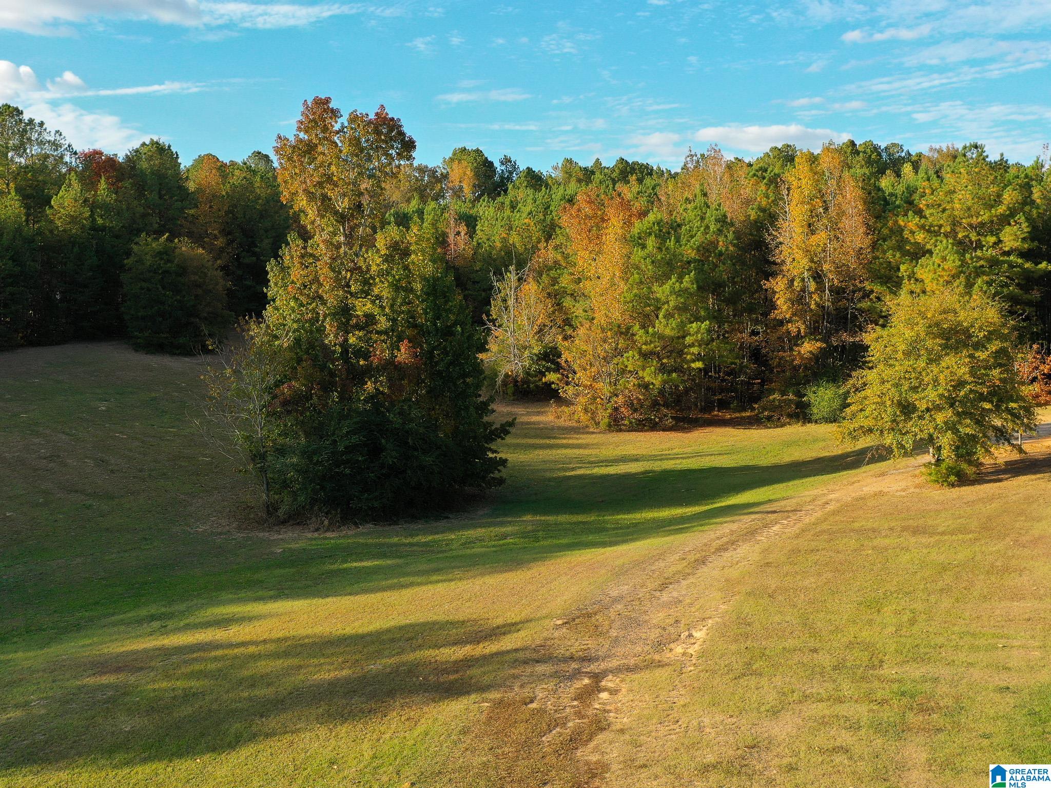 10715 Big Hurricane Road Brookwood, AL 35444 - Photo 29 of 47