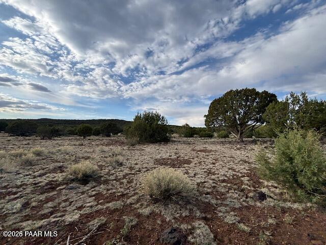 Lot 10 Incline Trail Williams, AZ 86046 - Photo 13 of 33 a view of a dry yard with wooden fence