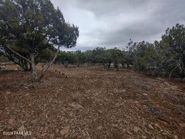 Lot 10 Incline Trail Williams, AZ 86046 - Photo 2 of 33 a view of a dry yard with trees in the background