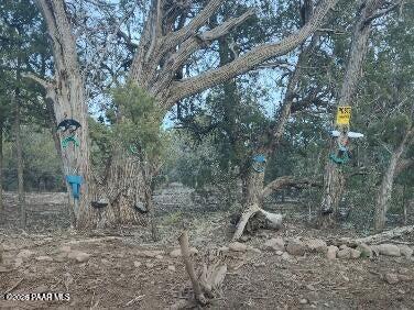 Lot 10 Incline Trail Williams, AZ 86046 - Photo 23 of 33 a view of a forest with trees in the background