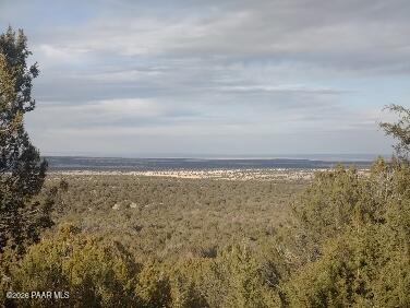 Lot 10 Incline Trail Williams, AZ 86046 - Photo 4 of 33 a view of an ocean