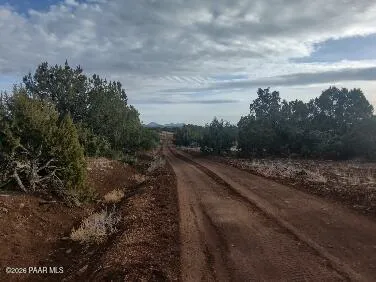 a view of a dry yard with trees