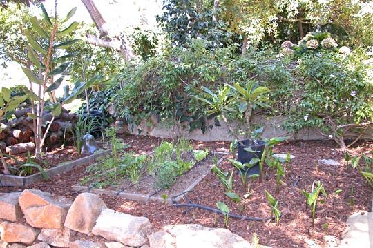 711 Moreno Road Santa Barbara, CA 93103 - Photo 11 of 18 a backyard of a house with lots of green space