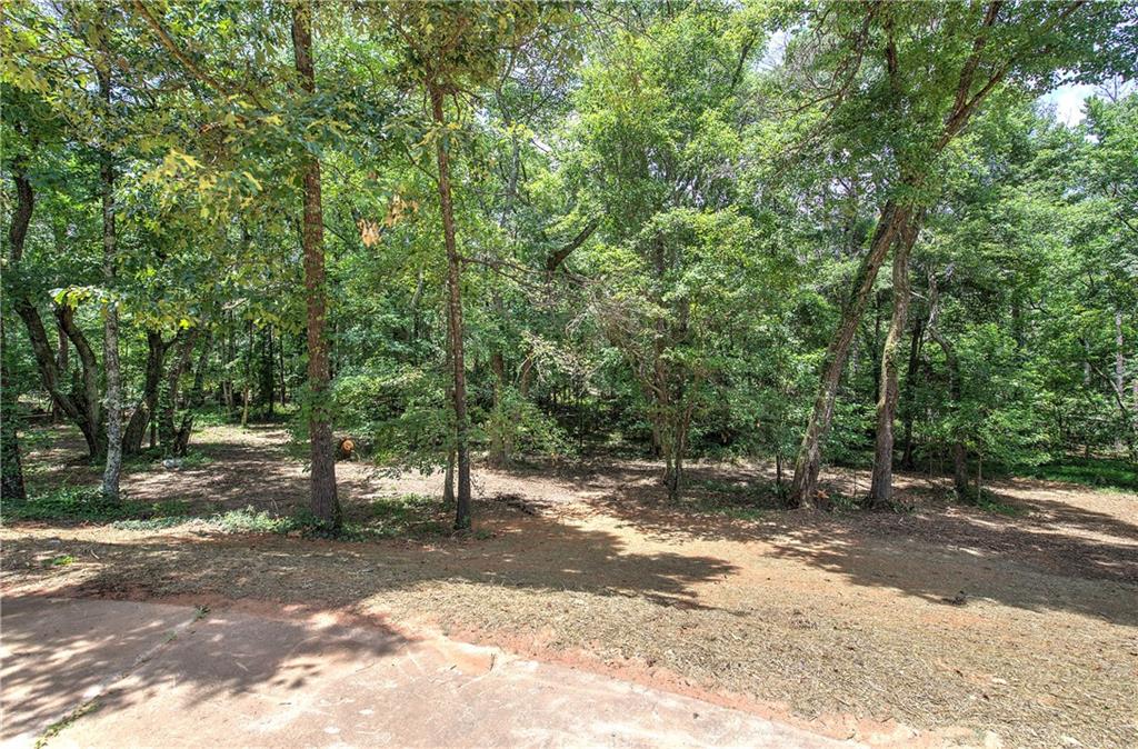80 Iron Hill Road Taylorsville, GA 30178 - Photo 13 of 37
