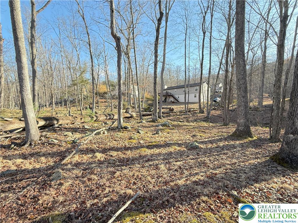 6486 Decker Road Bushkill, PA 18324 - Photo 4 of 52