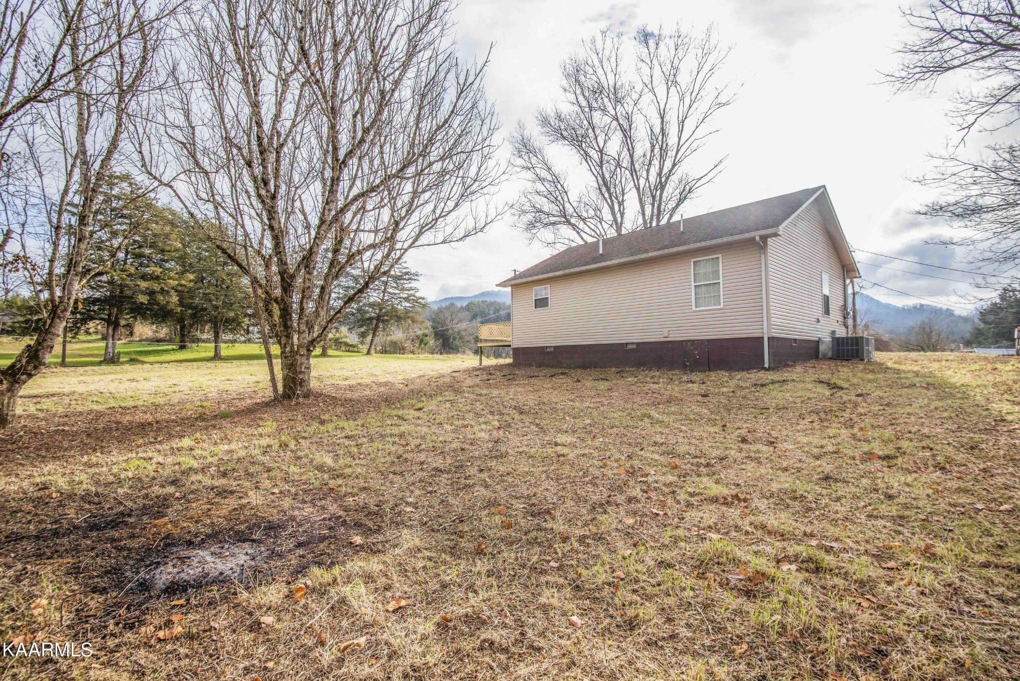 122 Donahue Road Luttrell, TN 37779 - Photo 17 of 19 a backyard of a house with large trees