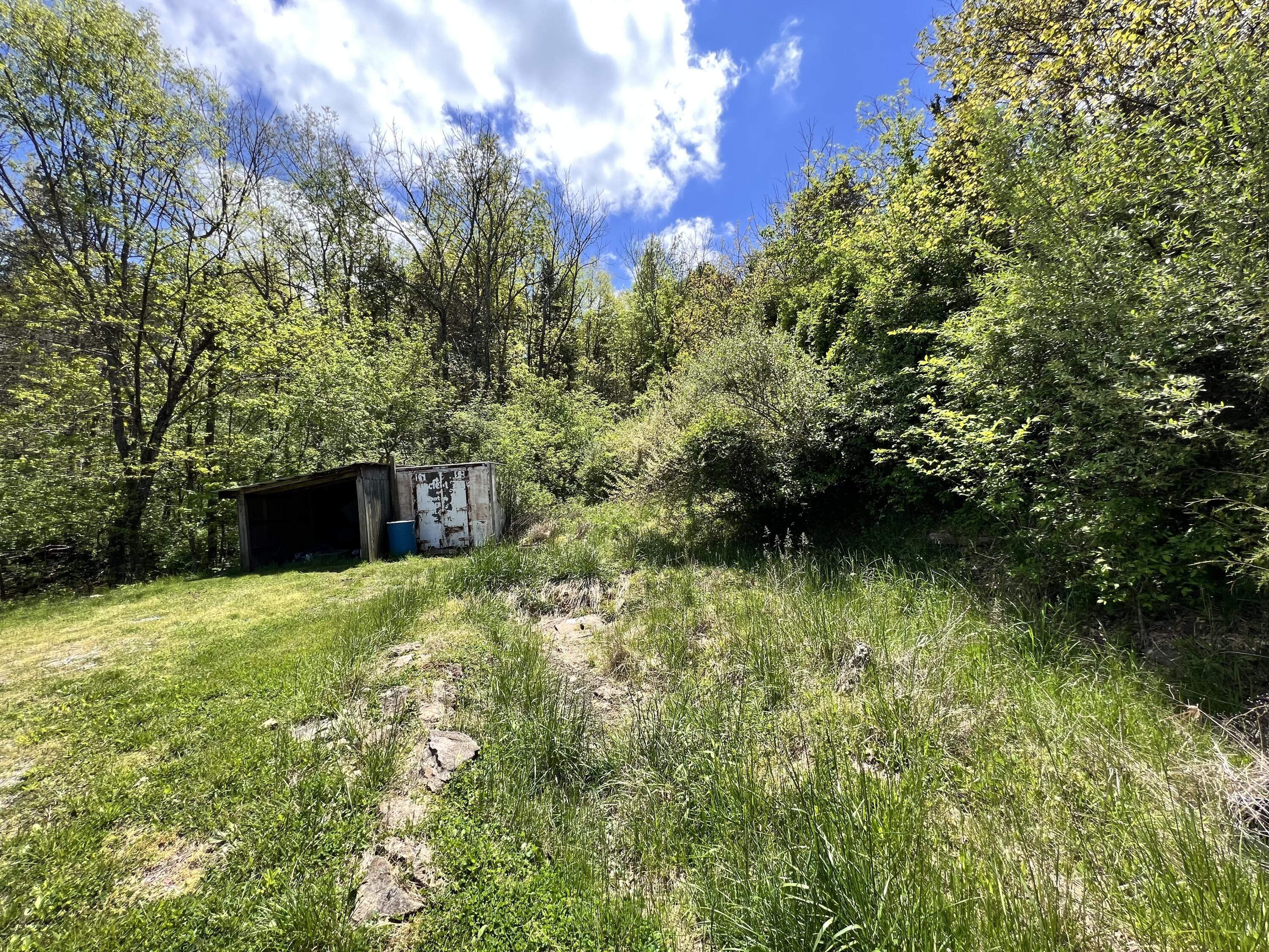 2080 Cedar Road Stamping Ground, KY 40379 - Photo 6 of 44 105DDD5E-0095-46DD-A813-20118875EBC2