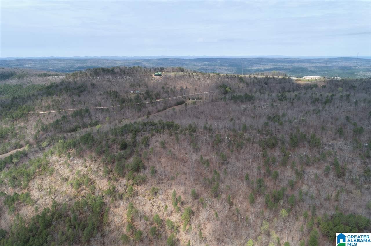 1234 High Road, Unit 1 Columbiana, AL 35051 - Photo 21 of 38