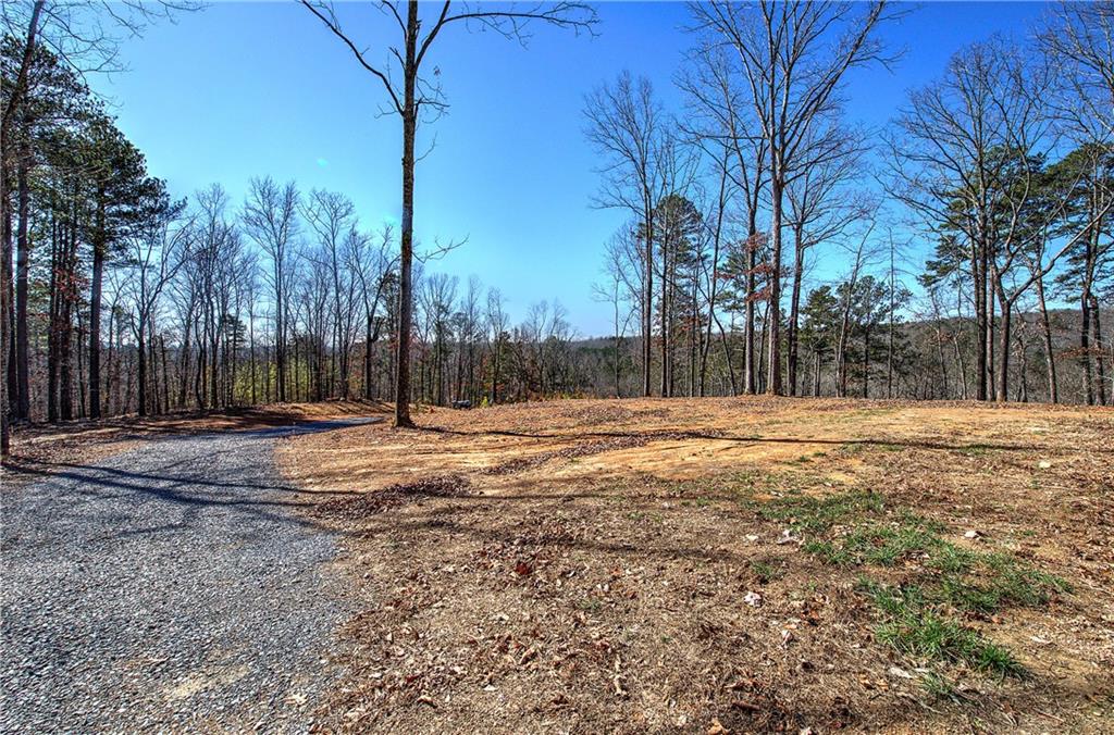 676 Flowery Branch Road Kingston, GA 30145 - Photo 55 of 96 Gallery Image 55