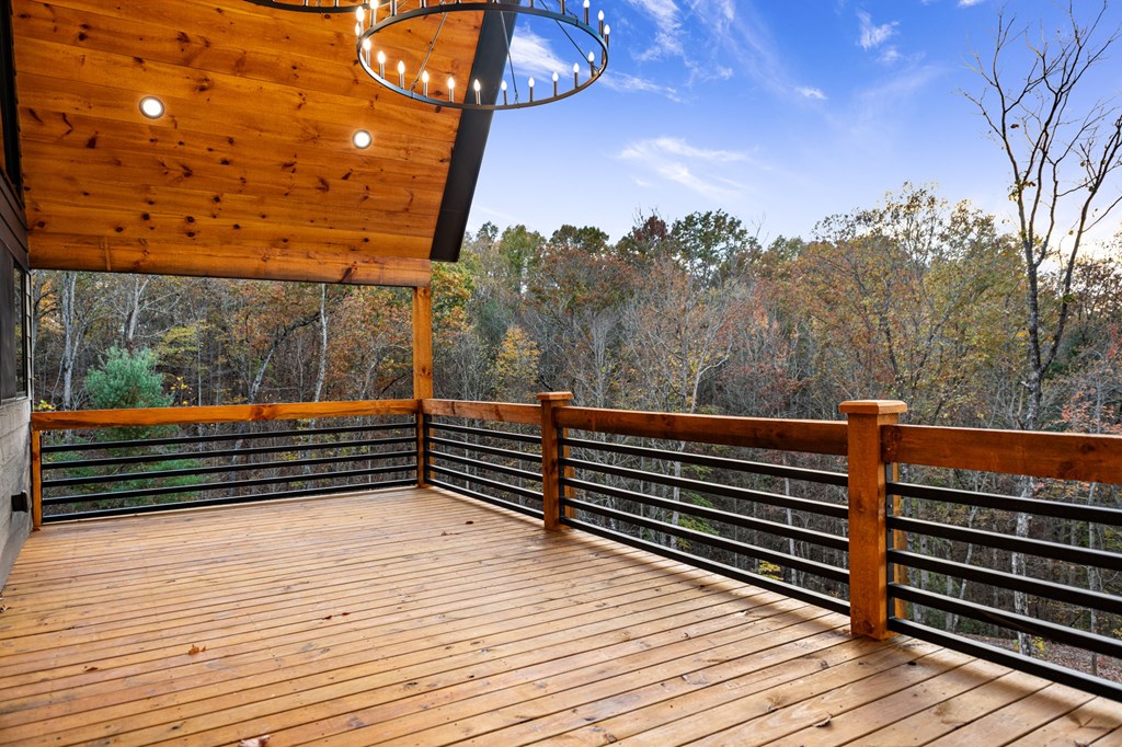 307 Cohutta Overlook Drive Blue Ridge, GA 30513 - Photo 51 of 61 Gallery Image 51