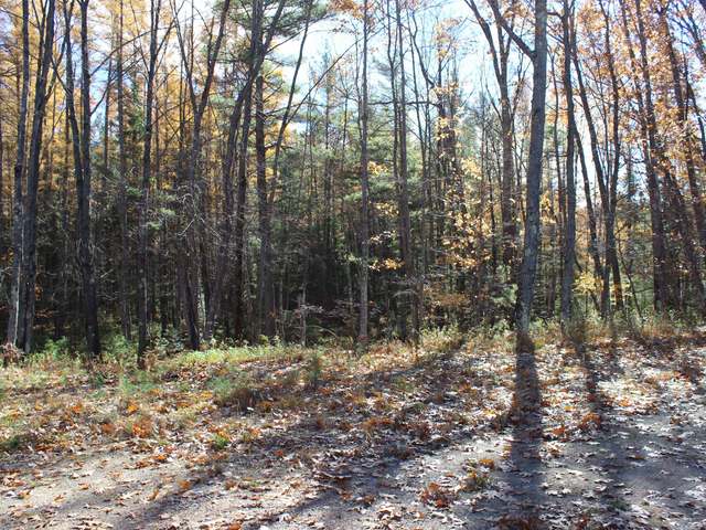 On High Rdg Trail, Unit LOT 10 Hazelhurst, WI 54531 - Photo 5 of 9 Gallery Image 5