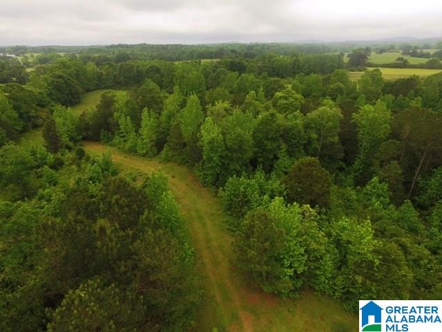 45-acres Driggers Road, Unit 45 AC Lineville, AL 36266 - Photo 3 of 10