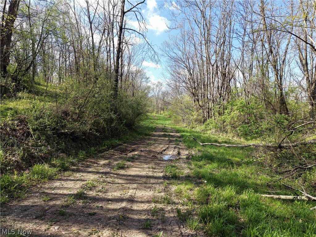 0 Harrons Ridge Road Dexter City, OH 45727 - Photo 14 of 29