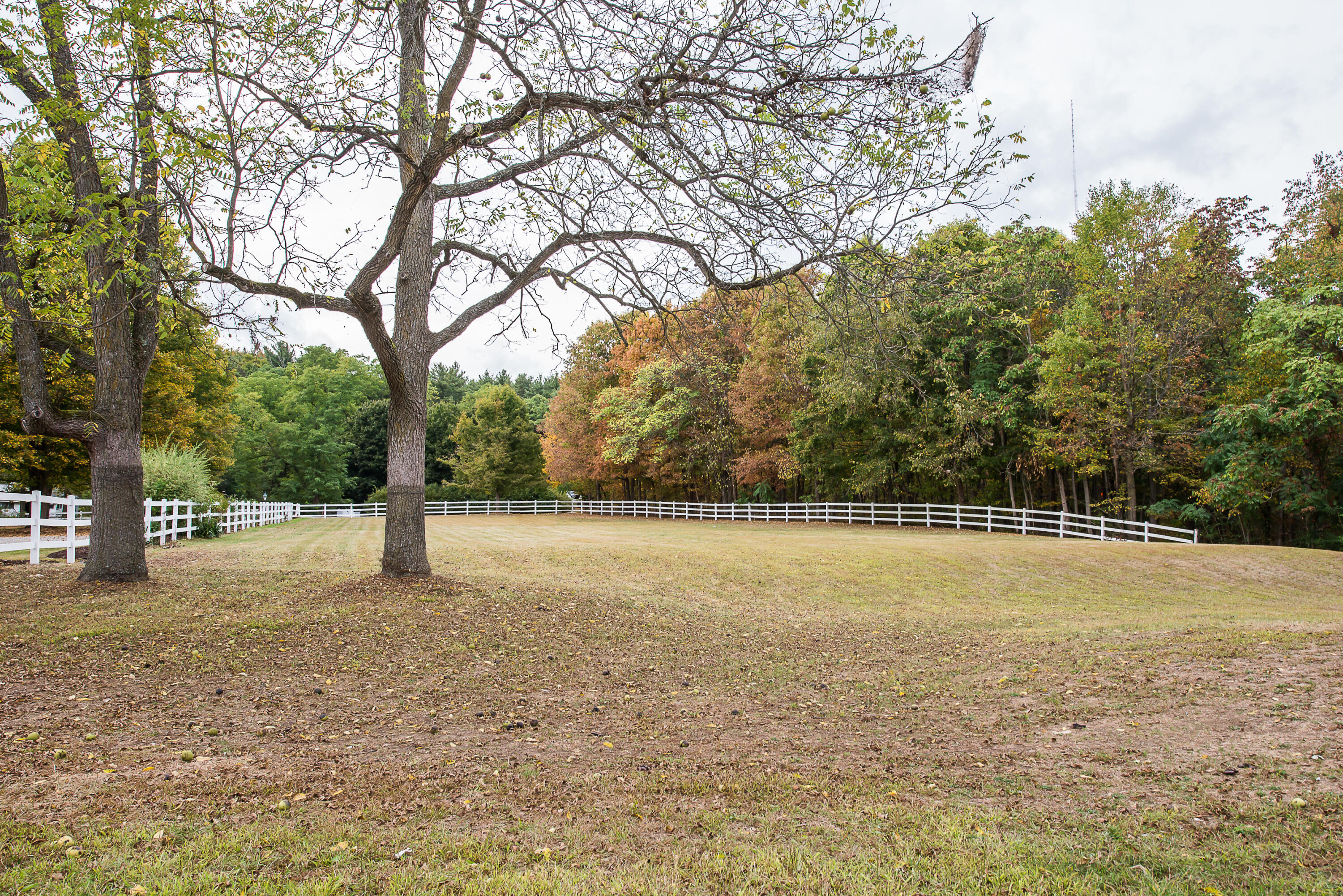 8044 Dexter-Pinckney Road Dexter, MI 48130 - Photo 22 of 46 DSC_2075