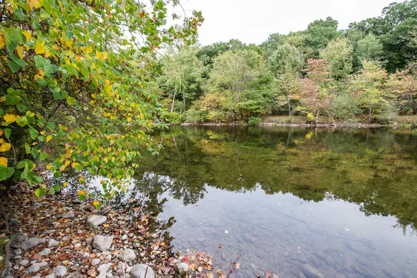 $1,850,000 | 8044 Dexter-Pinckney Road, Dexter, MI 48130