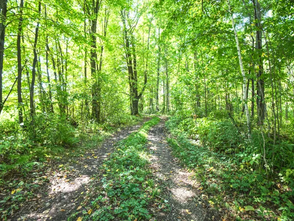 $231,900 | 0 310th Avenue, Sheldon, WI 54766