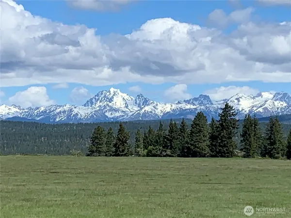 a view of a lake with a large tree in the background