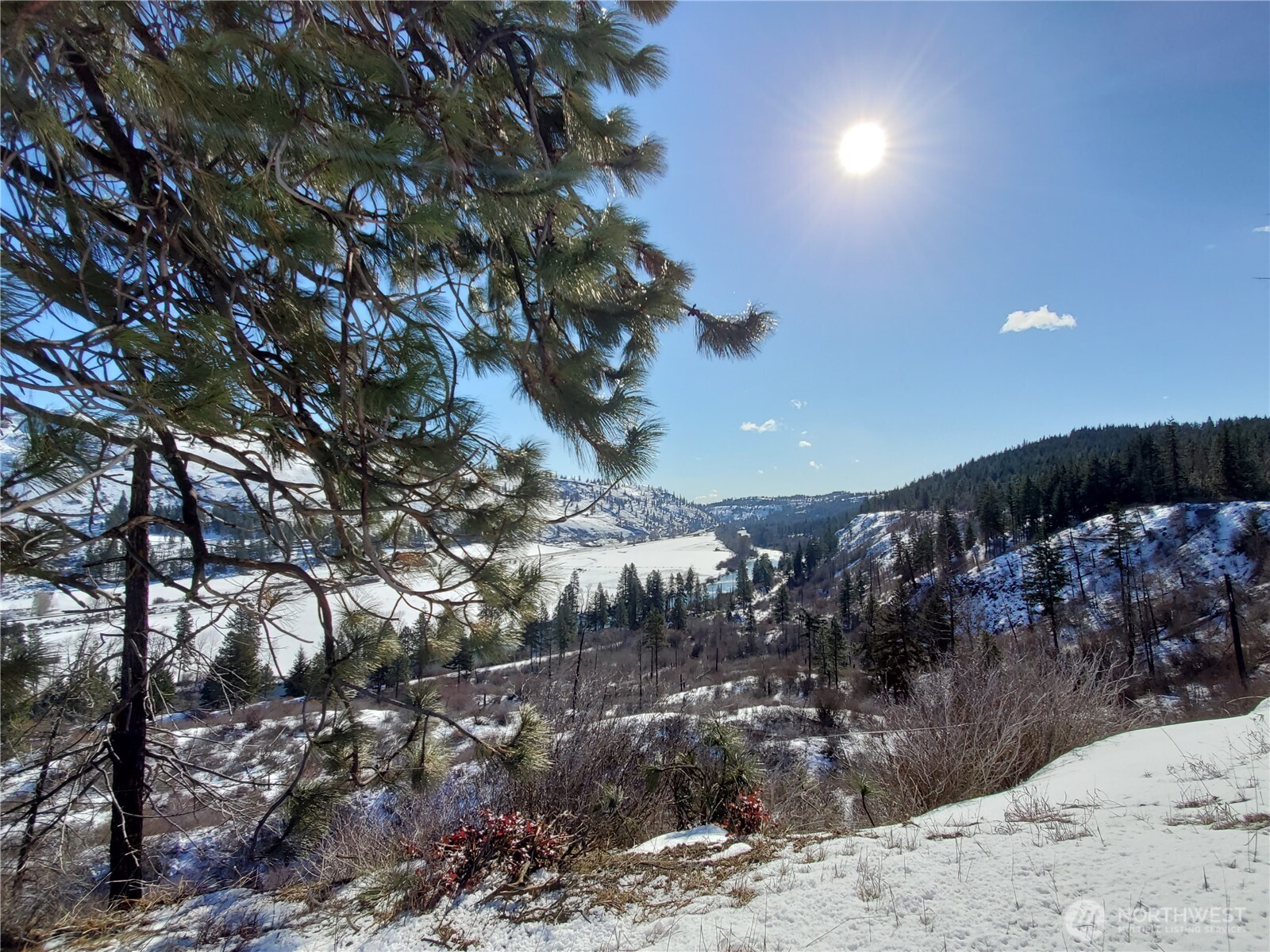 55 Highway 10 Cle Elum, WA 98922 - Photo 10 of 22 a view of a forest
