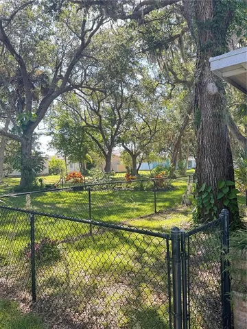 a view of a park with large trees