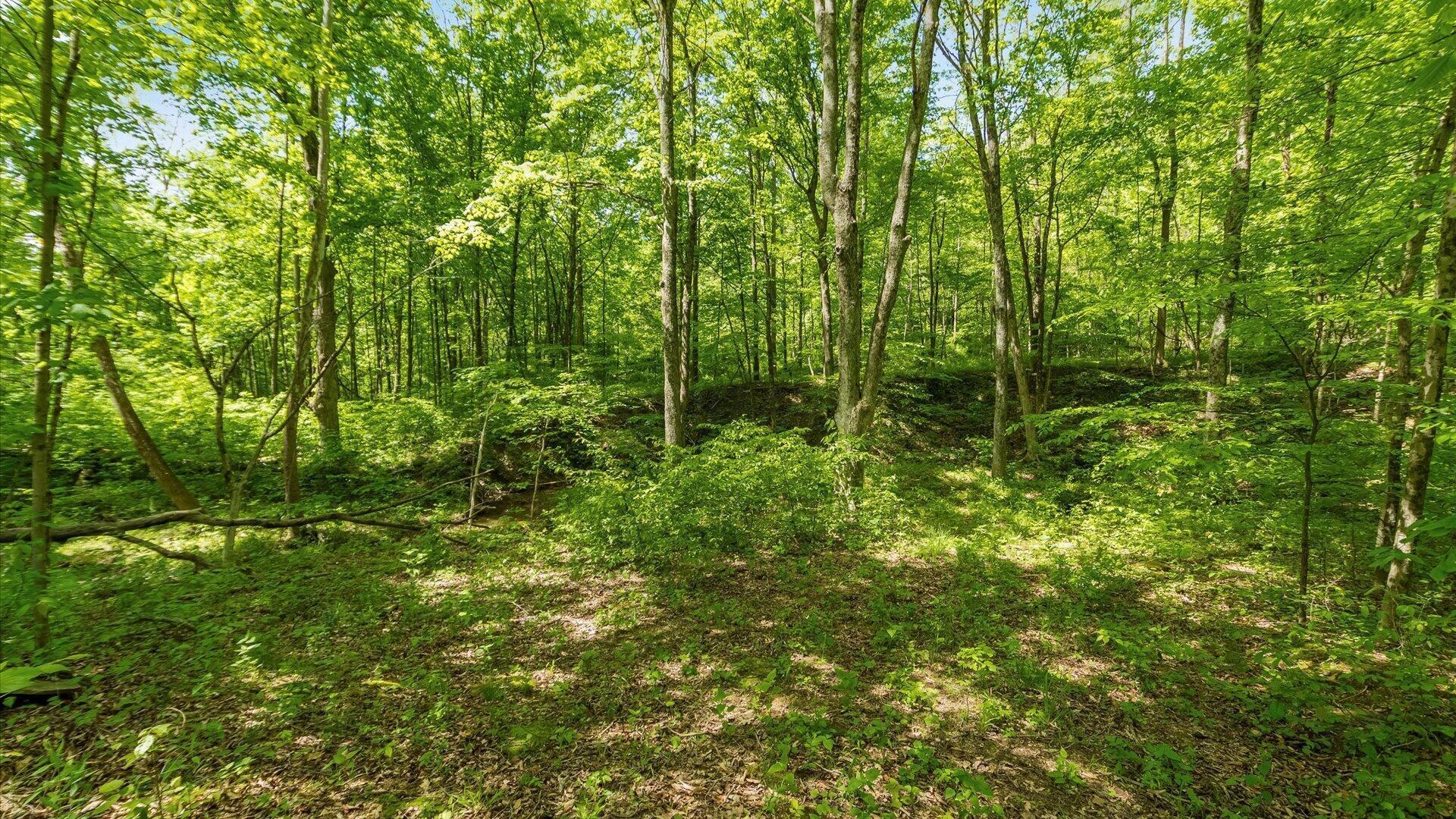 50583 Roy Miles Road Sarahsville, OH 43779 - Photo 21 of 27 18-zj 50583 Roy Miles Rd079a