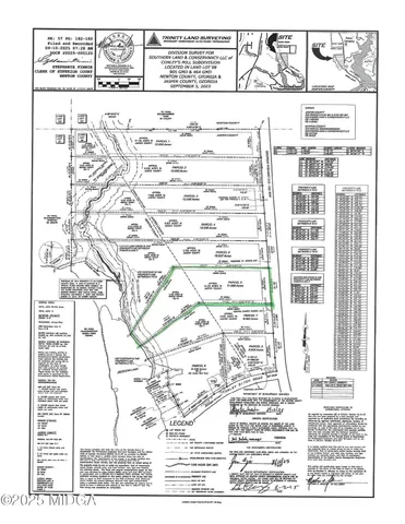 a black and white photo of a painting