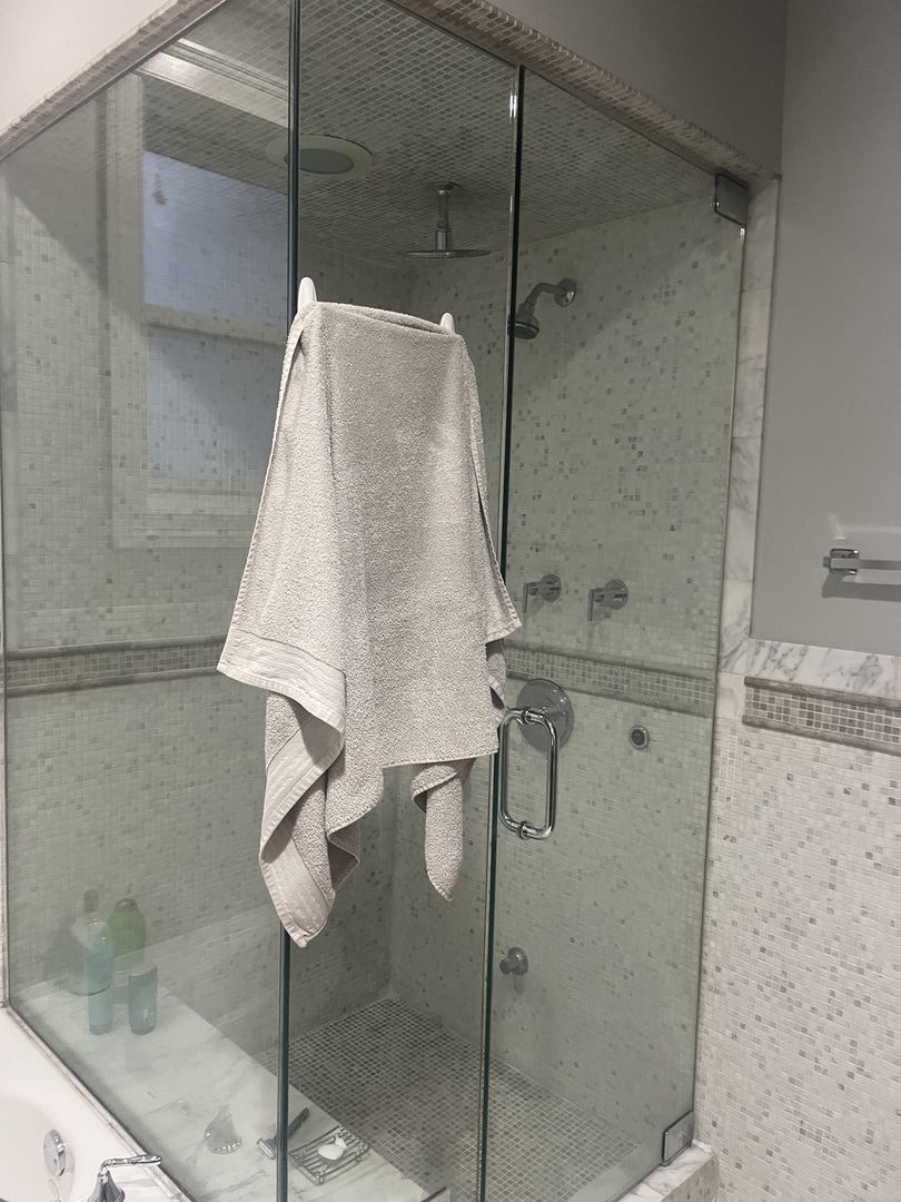 27 North Morgan Street, Unit 3 Chicago, IL 60607 - Photo 18 of 18 a bathroom with a shower