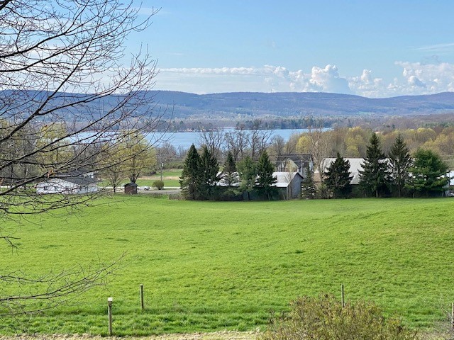 3977 Bailey Hill Road Tyrone, NY 14837 - Photo 4 of 25