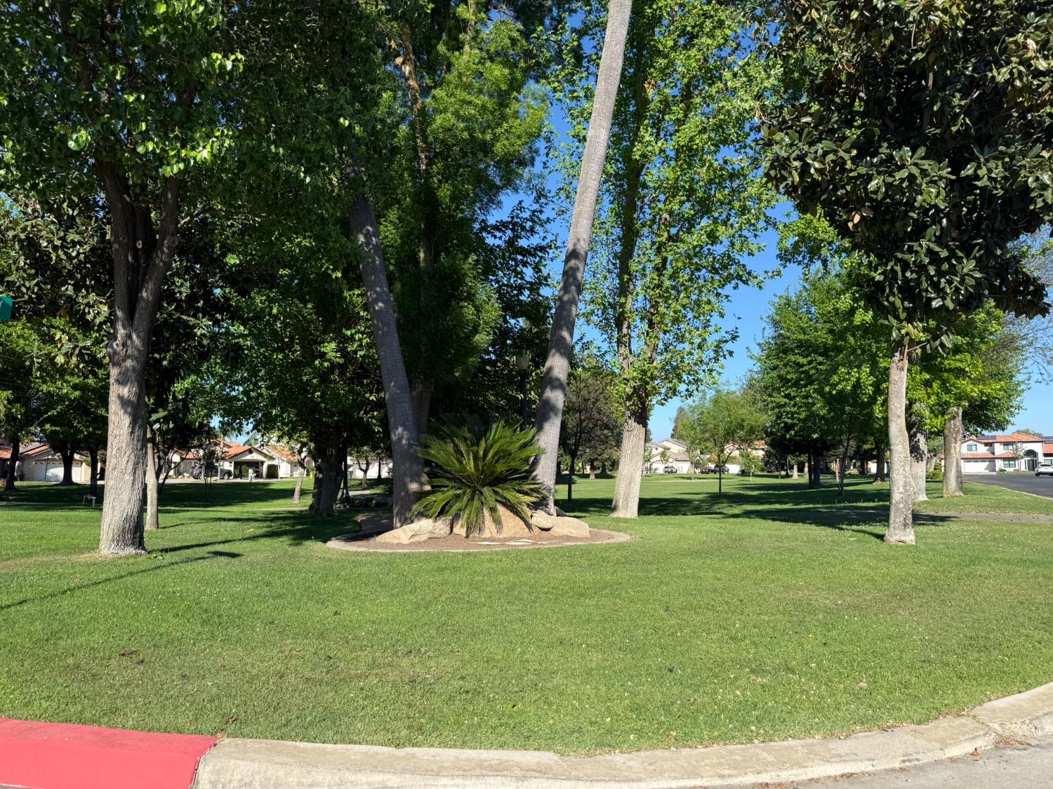 43 East Loop Madera, CA 93637 - Photo 47 of 49 a view of a park with trees and a wooden fence