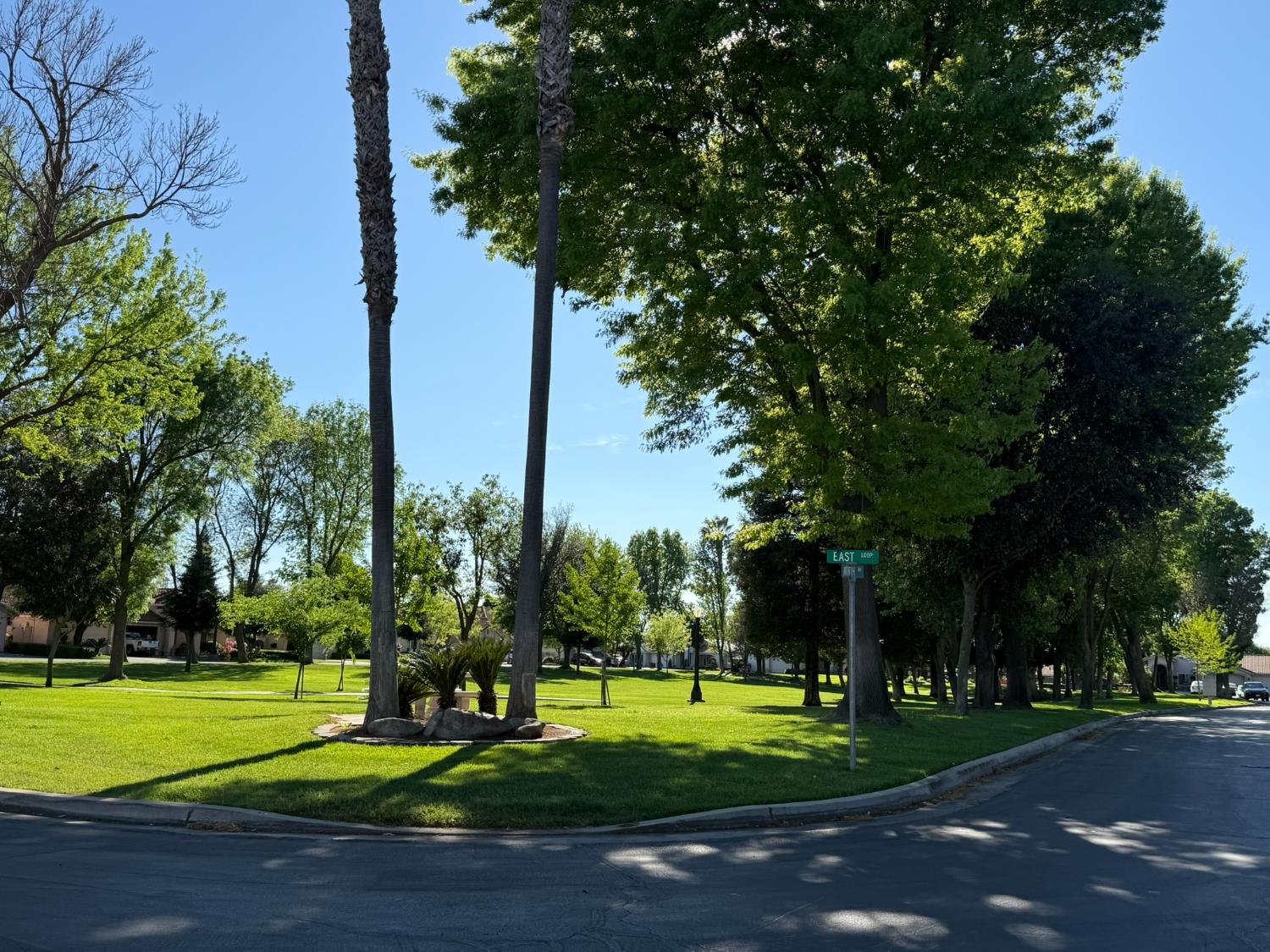 43 East Loop Madera, CA 93637 - Photo 49 of 49 a view of a park with large trees