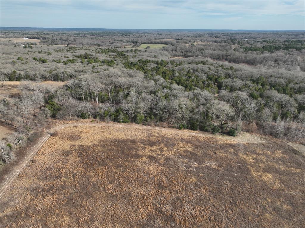 3250 County Road 3250 Quitman, TX 75783 - Photo 19 of 30 a view of a dry yard