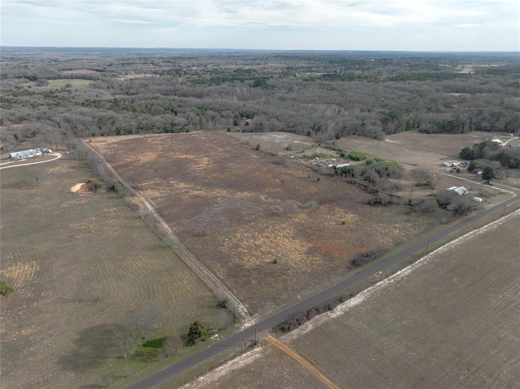 3250 County Road 3250 Quitman, TX 75783 - Photo 22 of 30 a view of a dry yard with trees