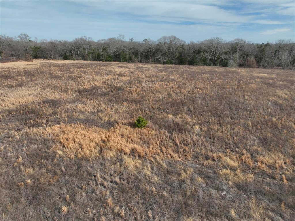 3250 County Road 3250 Quitman, TX 75783 - Photo 7 of 30 a view of an outdoor space and a yard