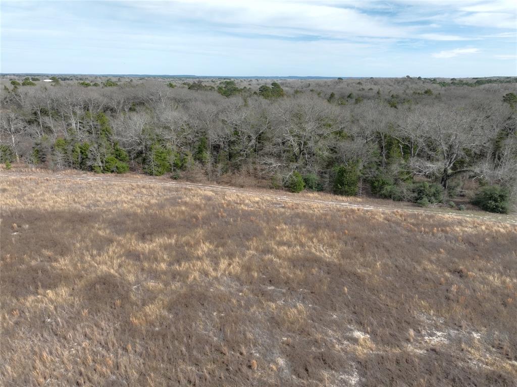 3250 County Road 3250 Quitman, TX 75783 - Photo 8 of 30 a view of an outdoor space with mountain view