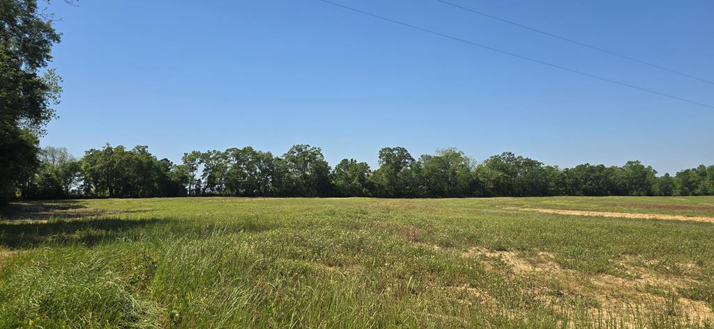 4.4-acres Lot 8 Grady Garner Road Slocomb, AL 36375 - Photo 13 of 18 Gallery Image 13