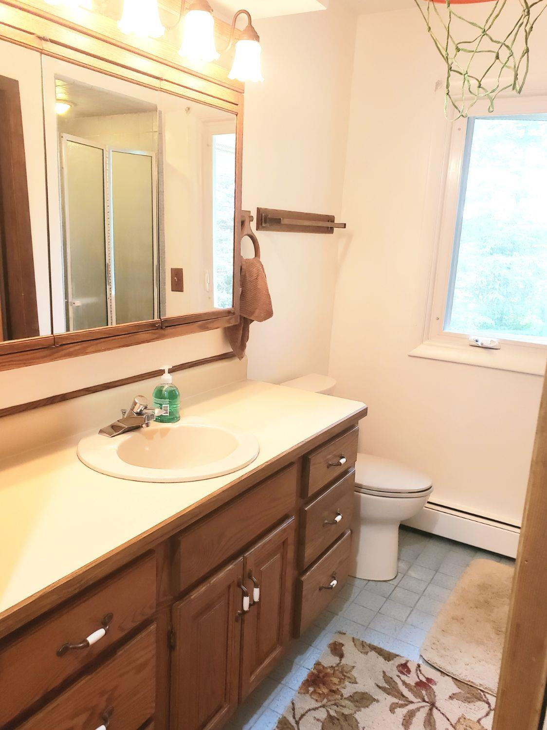 4150 Pennington Road Clinton, MI 49236 - Photo 26 of 71 Photo 26