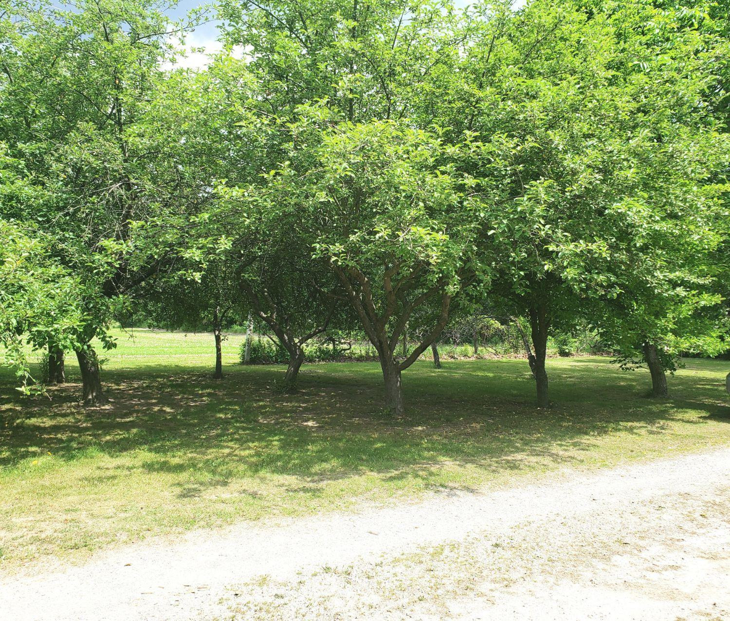 4150 Pennington Road Clinton, MI 49236 - Photo 60 of 71 Photo 60