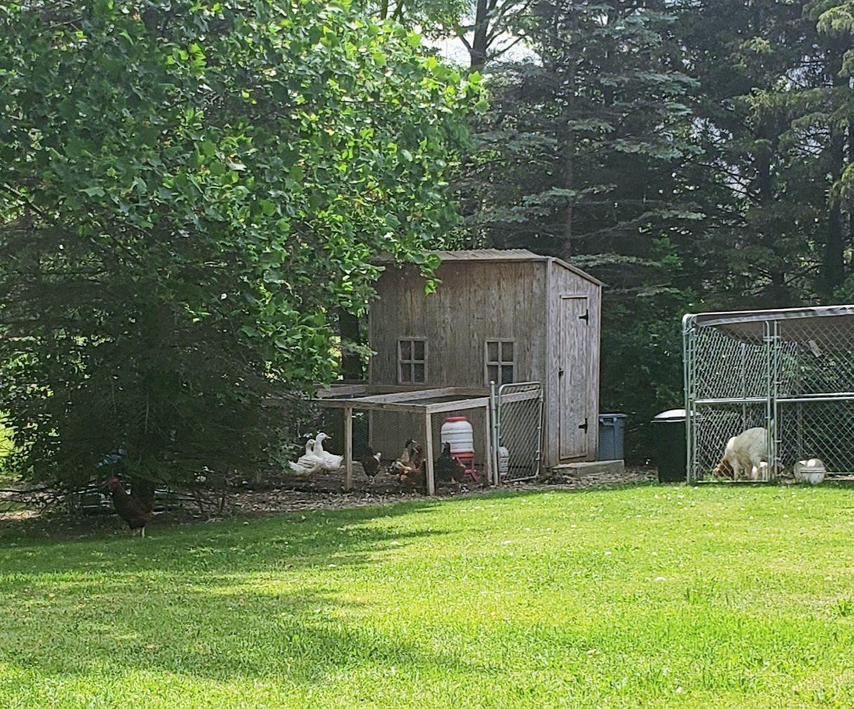 4150 Pennington Road Clinton, MI 49236 - Photo 66 of 71 Photo 66