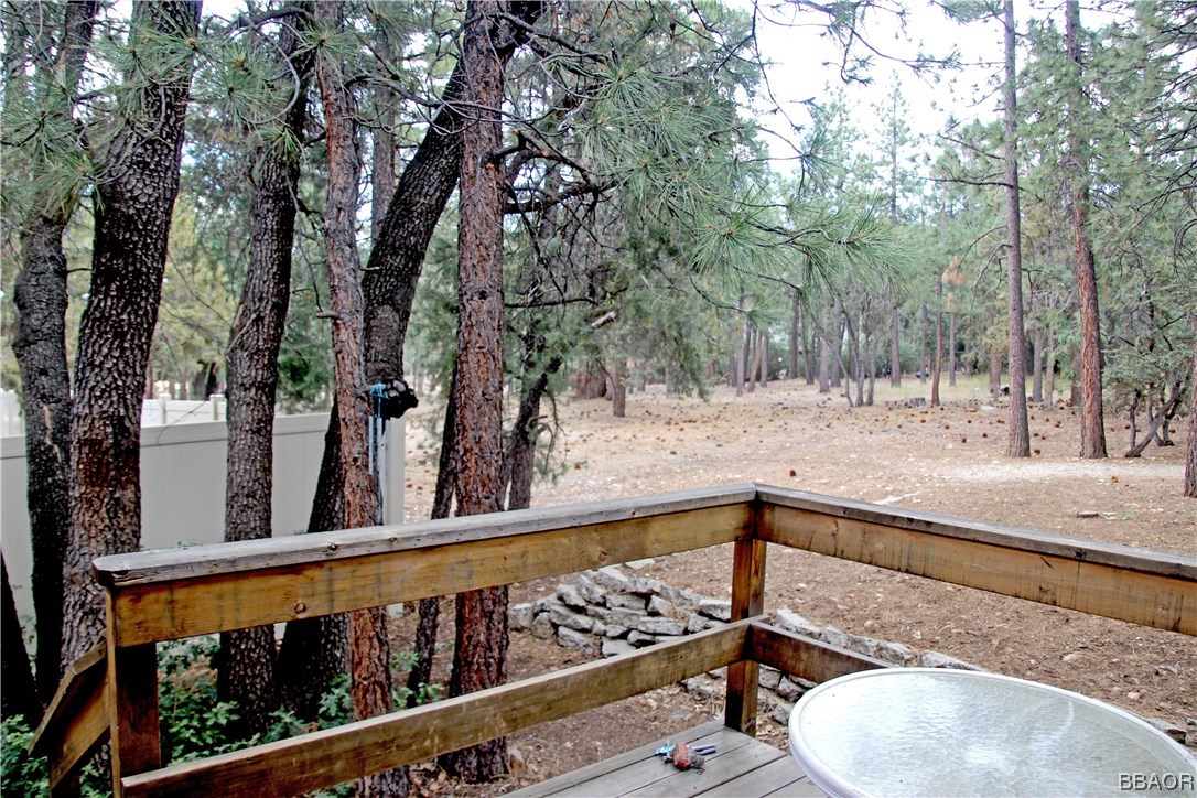 229 Pine Lane Sugarloaf, CA 92386 - Photo 24 of 24 a view of a backyard with trees