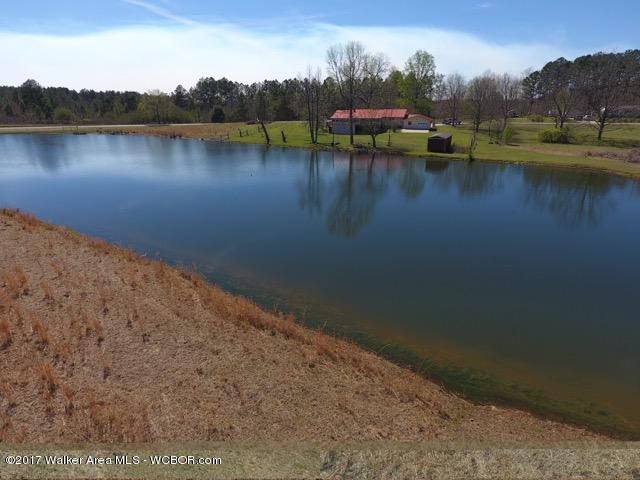 5125 Smith Lake Dam Road Jasper, AL 35504 - Photo 7 of 26 Gallery Image 7