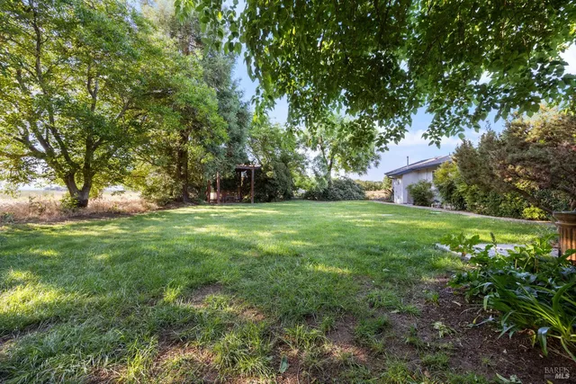 a view of green field with trees in the background