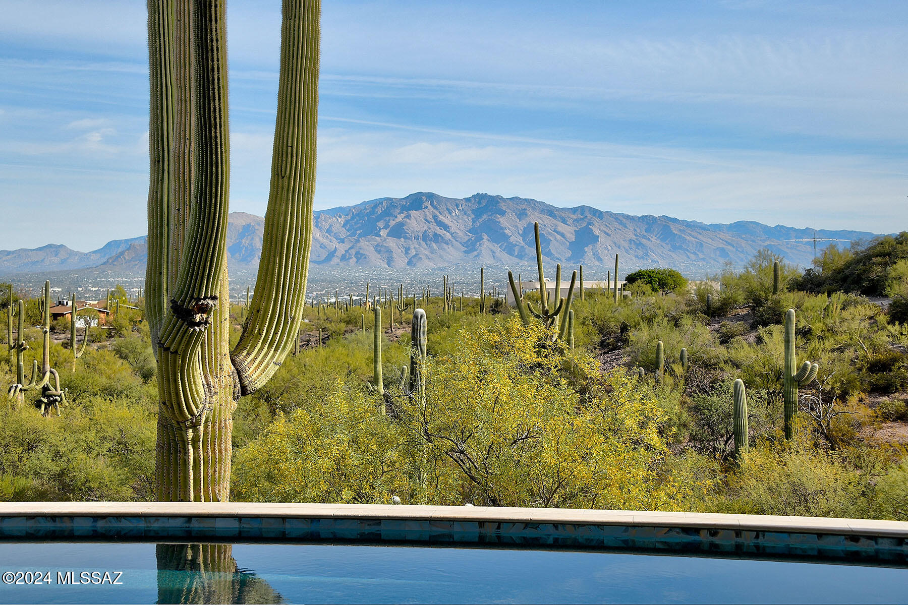 5091 West Rhyolite Loop Tucson, AZ 85745 - Photo 21 of 36 Gallery Image 21
