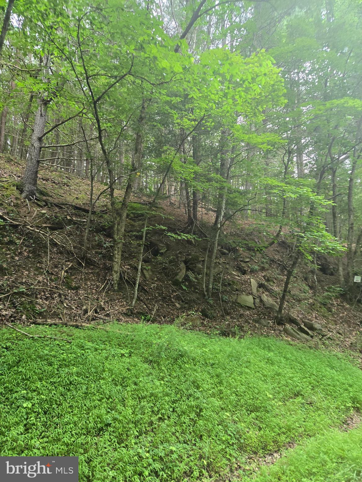 Mountain Run Road Berkeley Springs, WV 25411 - Photo 2 of 8 a view of a garden