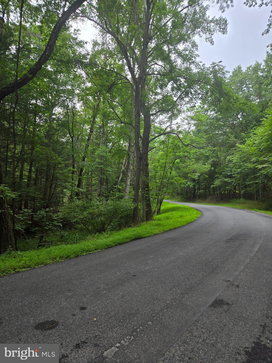 Mountain Run Road Berkeley Springs, WV 25411 - Photo 5 of 8 a view of a field and trees in the background