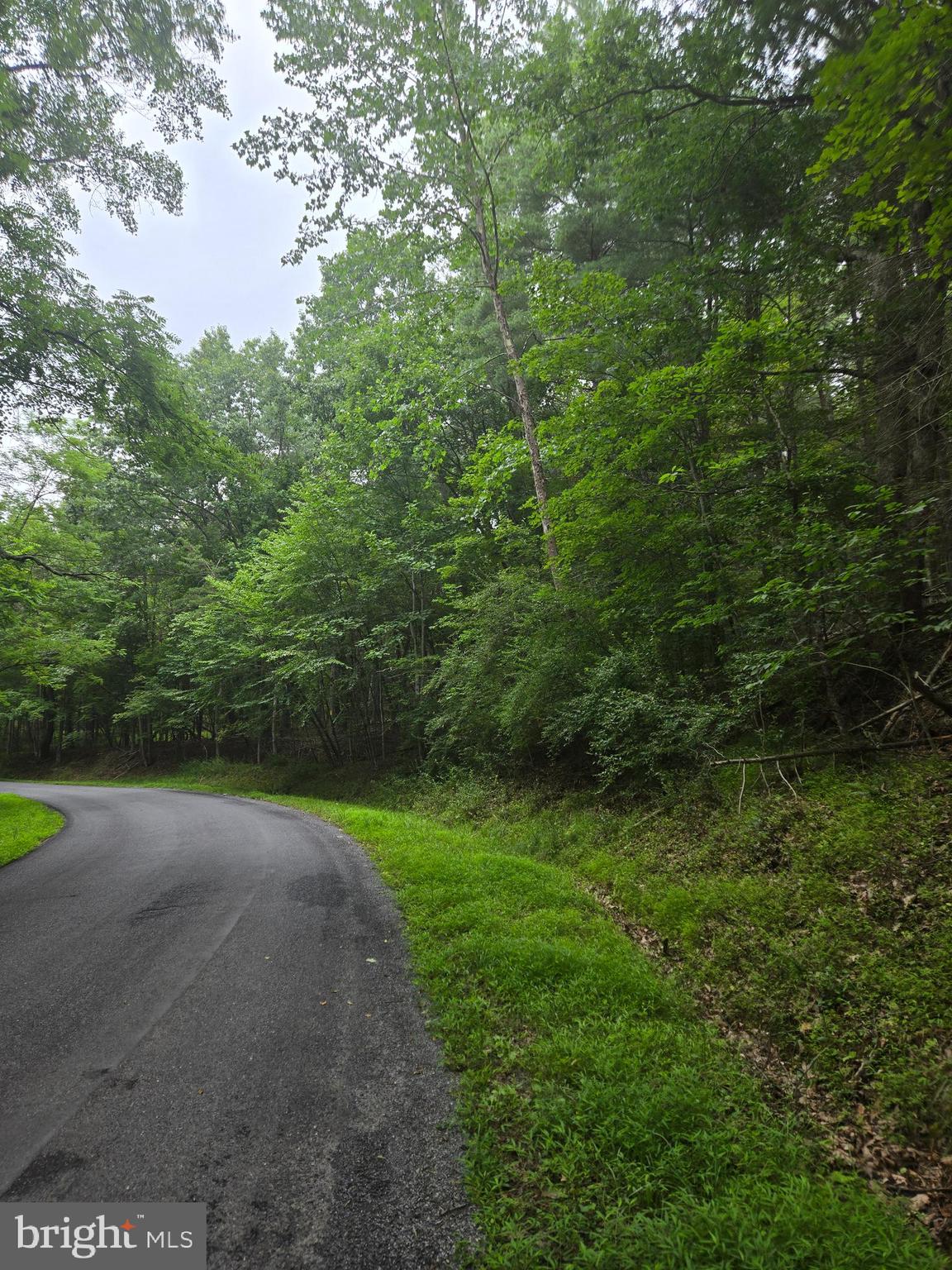 Mountain Run Road Berkeley Springs, WV 25411 - Photo 6 of 8 a view of a field with plants and trees