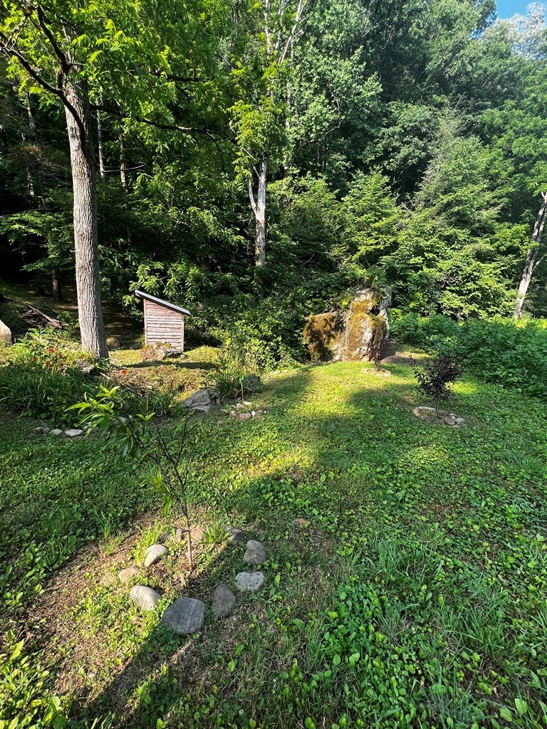 0 Raven Branch Road Del Rio, TN 37727 - Photo 7 of 29