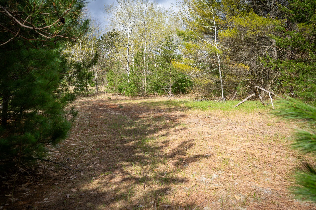V/l Hudson Road South Boardman, MI 49680 - Photo 27 of 34