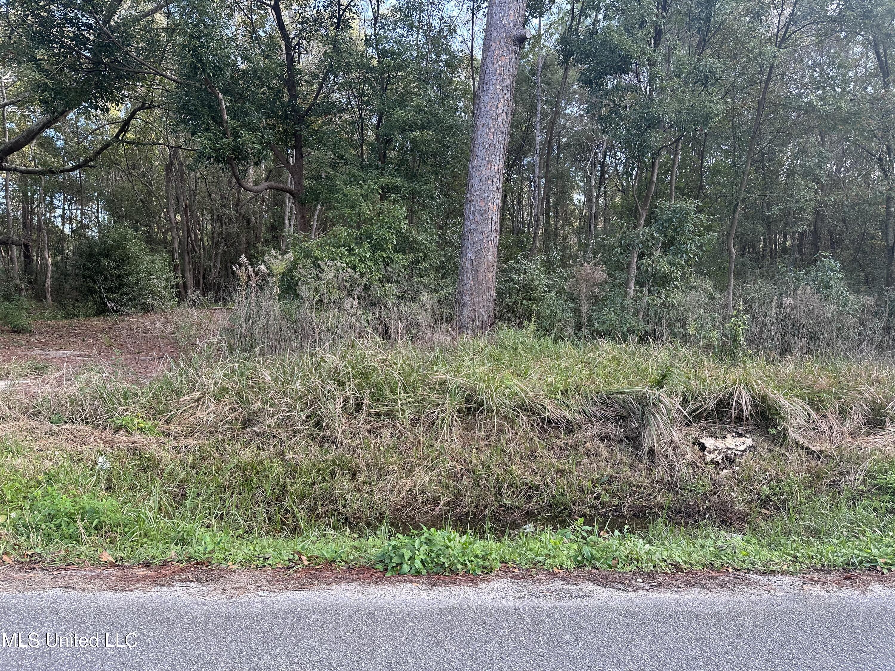 6461 Simmons Drive Long Beach, MS 39560 - Photo 2 of 4 IMG_3907